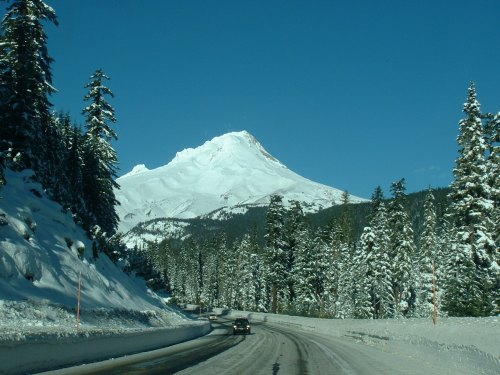 Snow-covered mountain with a clear blue sky, surrounded by tall evergreen trees and a winding road.