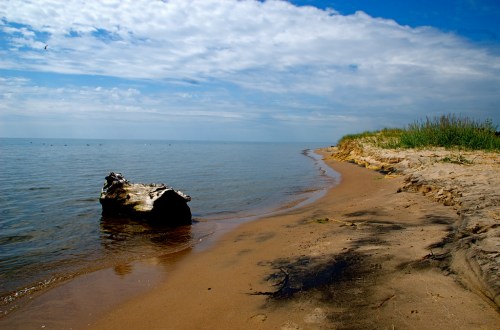 A serene beach scene with a sandy shore, calm water, and a driftwood log under a partly cloudy sky.