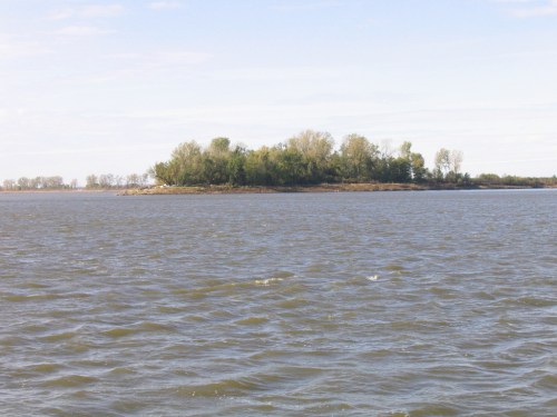A small, tree-covered island surrounded by calm water under a clear blue sky.
