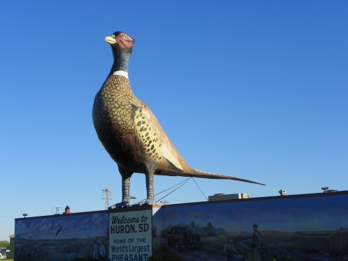 A large statue of a pheasant stands atop a sign welcoming visitors to Huron, SD, known for the World's Largest Pheasant.