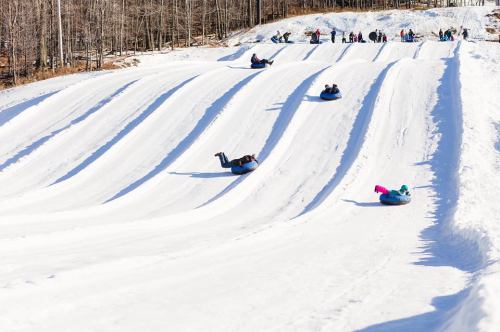 People tubing down a snowy hill, with trees in the background and others waiting at the top.