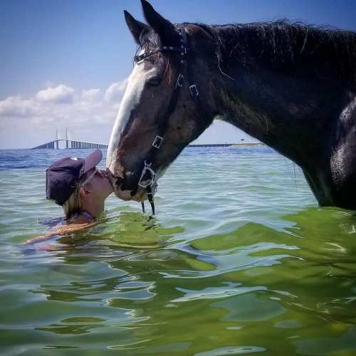 A person wades in water, kissing a horse standing beside them, with a bridge visible in the background.