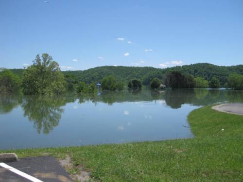 A flooded landscape with trees reflected in the water, under a clear blue sky and green hills in the background.