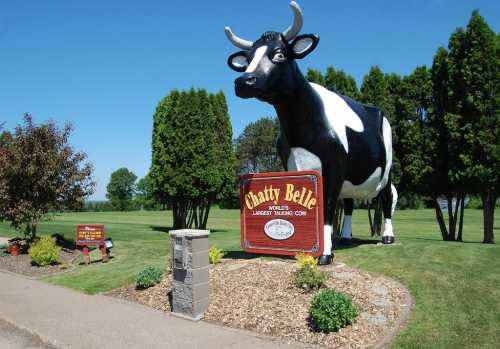 A large black-and-white cow statue named "Chatty Belle" stands in a grassy area with trees and signs nearby.