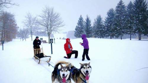 A snowy landscape with two huskies in the foreground, and people with a sled in the background enjoying the winter.