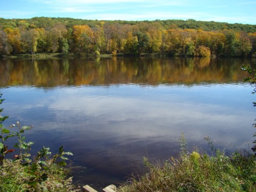 A calm river reflects colorful autumn trees under a clear blue sky. Green grass and plants frame the foreground.