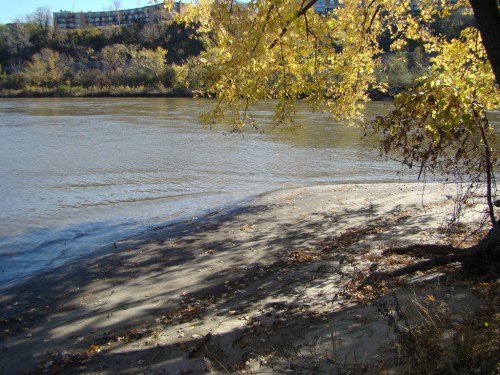 A serene riverbank scene with autumn leaves, gentle water ripples, and a sandy shore under a tree.