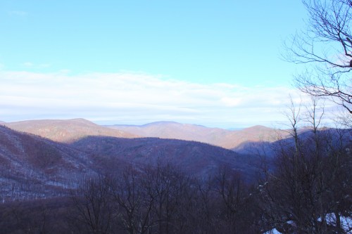 A scenic view of rolling mountains under a clear blue sky, with trees in the foreground and distant peaks.