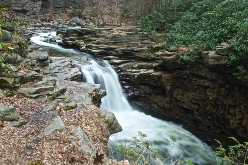 A serene waterfall cascades over rocky terrain, surrounded by lush greenery and a tranquil forest setting.