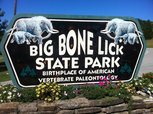 Sign for Big Bone Lick State Park, featuring elephants and text about its significance in vertebrate paleontology.