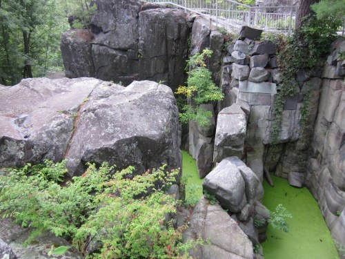 Rocky cliffs with moss-covered stones and green algae in a narrow crevice, surrounded by trees.