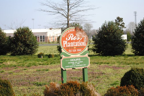 Sign for Governor Ross Plantation, listing hours of operation, surrounded by green grass and shrubs.