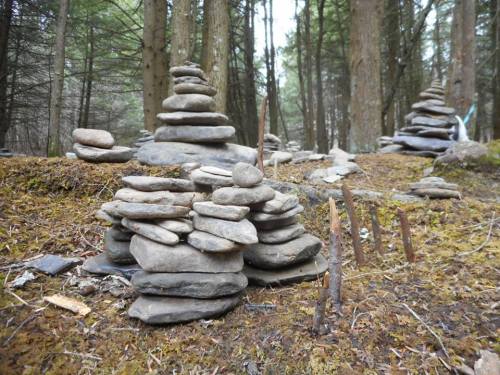 A serene forest scene featuring multiple stacked stone cairns among moss and trees.