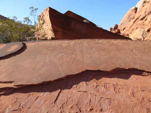 Petroglyphs etched into a reddish rock surface, with a large boulder and sparse vegetation in the background.