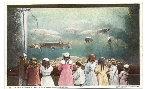 Children and adults observe fish in an aquarium at Belle Isle Park, Detroit, in a vintage postcard style.