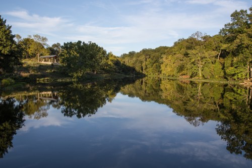 A serene river scene with trees reflecting on the water under a clear blue sky.