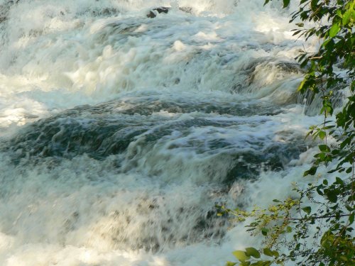 Rushing water cascades over rocks, creating frothy white waves amidst green foliage.