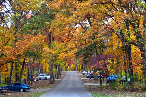 A scenic road lined with vibrant autumn trees and parked cars, showcasing colorful fall foliage.