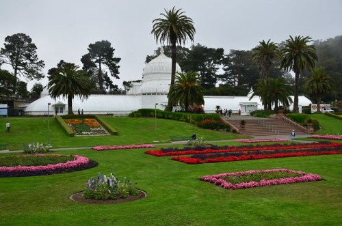A lush garden with colorful flower beds in front of a large glass conservatory, surrounded by palm trees and fog.