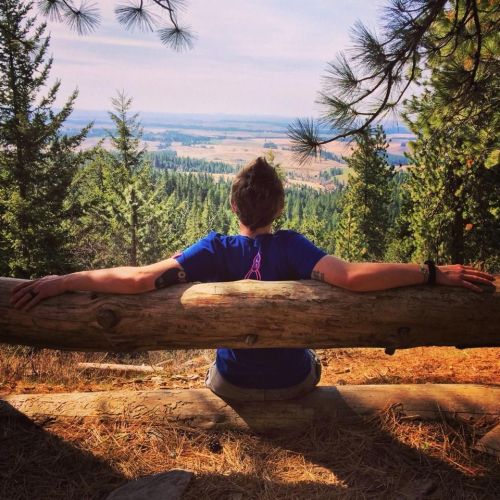A person sits on a log, gazing at a scenic view of rolling hills and trees under a clear blue sky.