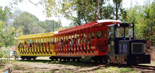 A colorful train with yellow and red cars carries passengers through a wooded area on a sunny day.
