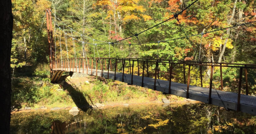 A suspension bridge spans a calm river, surrounded by vibrant autumn foliage and trees.