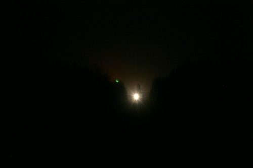 A bright light shines in the distance, surrounded by dark silhouettes of trees against a night sky.