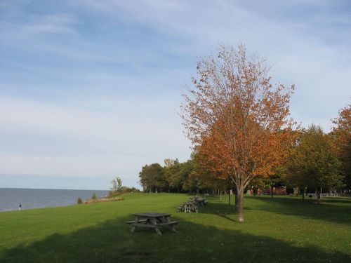 A serene lakeside park with green grass, picnic tables, and trees displaying autumn foliage under a clear sky.