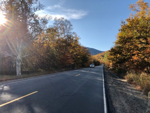 A scenic road lined with autumn trees, sunlight shining through, and a car driving in the distance.