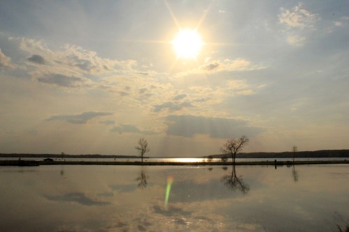 A serene landscape featuring a sunlit sky, reflecting water, and silhouetted trees along the shore.