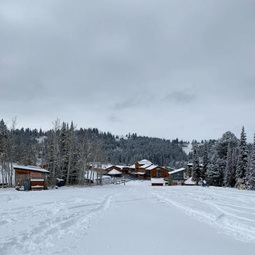 A snowy landscape featuring rustic cabins surrounded by tall evergreen trees under a cloudy sky.
