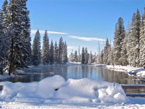 A serene winter scene with a snowy river surrounded by tall evergreen trees under a clear blue sky.