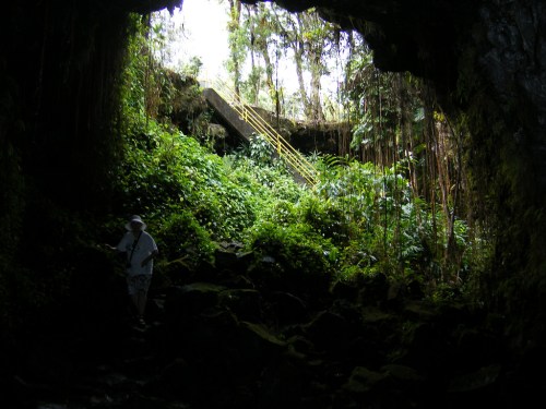 A person stands in a dark cave entrance, surrounded by lush greenery and a staircase leading up to bright light.