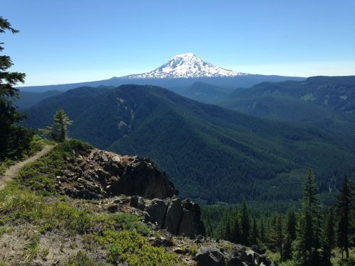A scenic view of a snow-capped mountain surrounded by lush green forests and rolling hills under a clear blue sky.