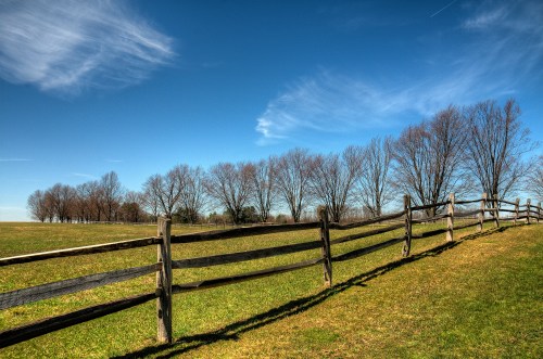 A wooden fence lines a grassy field under a clear blue sky, with bare trees in the background.