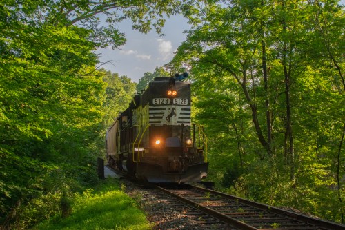 A green and black train on tracks surrounded by lush green trees under a partly cloudy sky.