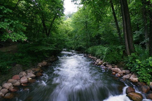 A flowing river surrounded by lush green trees and rocky banks, creating a serene natural landscape.