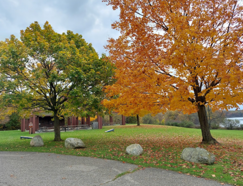 A scenic park with vibrant orange and green trees, a picnic area, and large rocks on a cloudy day.