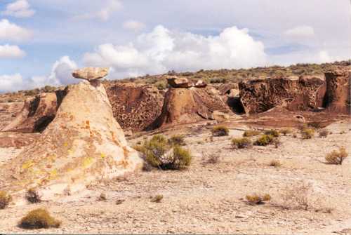 A rocky landscape featuring unique rock formations and sparse vegetation under a cloudy sky.