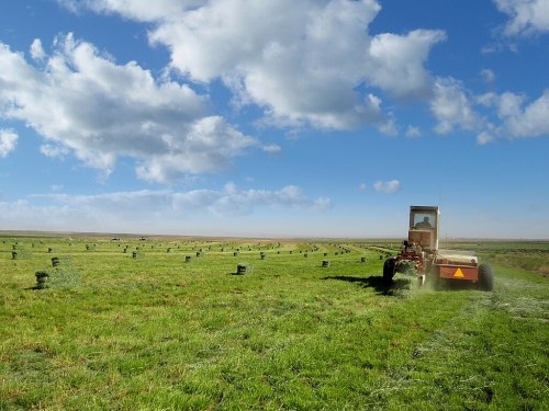 A tractor mows a green field under a blue sky with fluffy clouds, with hay bales scattered across the landscape.