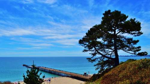 A scenic view of a pier extending into the ocean, framed by trees and a clear blue sky.