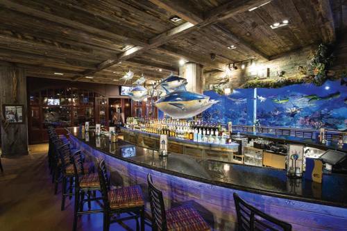 A rustic bar with a long counter, colorful bottles, and fish sculptures swimming above, set in a nautical-themed decor.
