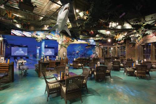 A vibrant restaurant interior with ocean-themed decor, featuring tables, chairs, and a large shark hanging from the ceiling.