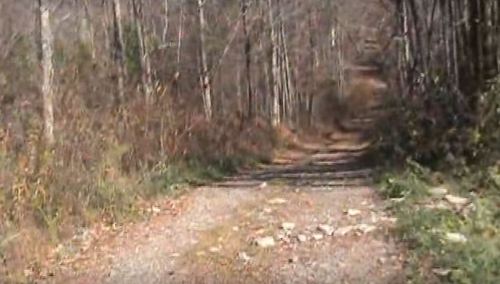 A gravel path winding through a wooded area with sparse trees and autumn foliage.
