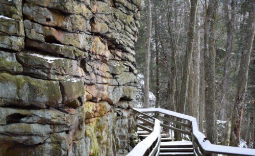 A winding wooden path alongside a rocky cliff, surrounded by snow-covered trees in a serene forest setting.