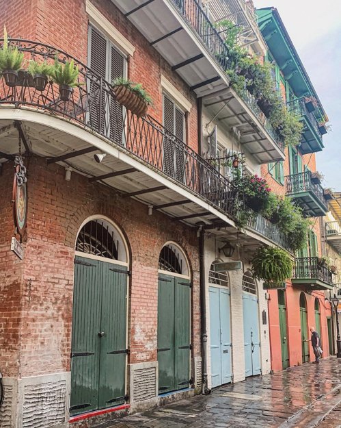 Historic brick buildings with balconies adorned with plants, reflecting a charming street scene after rain.