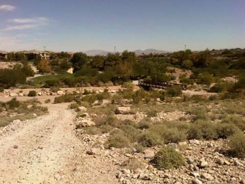 A rocky path leads through a desert landscape with sparse vegetation and distant mountains under a clear blue sky.