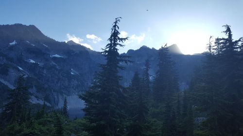 Silhouetted trees in the foreground with a mountain landscape and sun rising in the background.