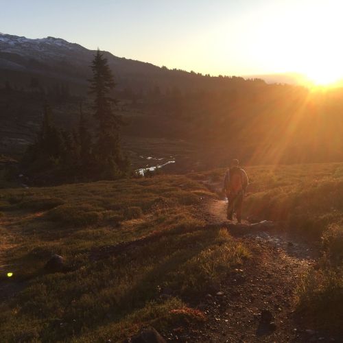 A hiker walks along a trail at sunset, with mountains and trees in the background, casting a warm glow over the landscape.