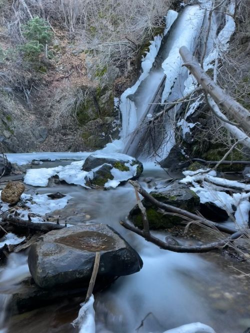 A serene winter scene featuring a frozen waterfall, icy rocks, and flowing water surrounded by bare trees.